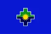 bandera puno
